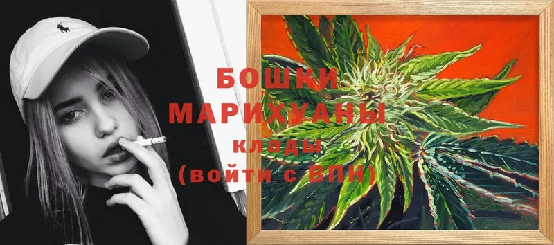 Бошки марихуана THC 21%  Бологое 